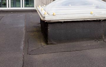disadvantages of Thorpe Le Vale flat roofs