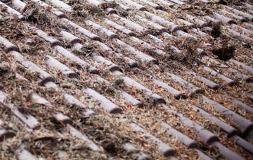 Thorpe Le Vale roof cleaning companies